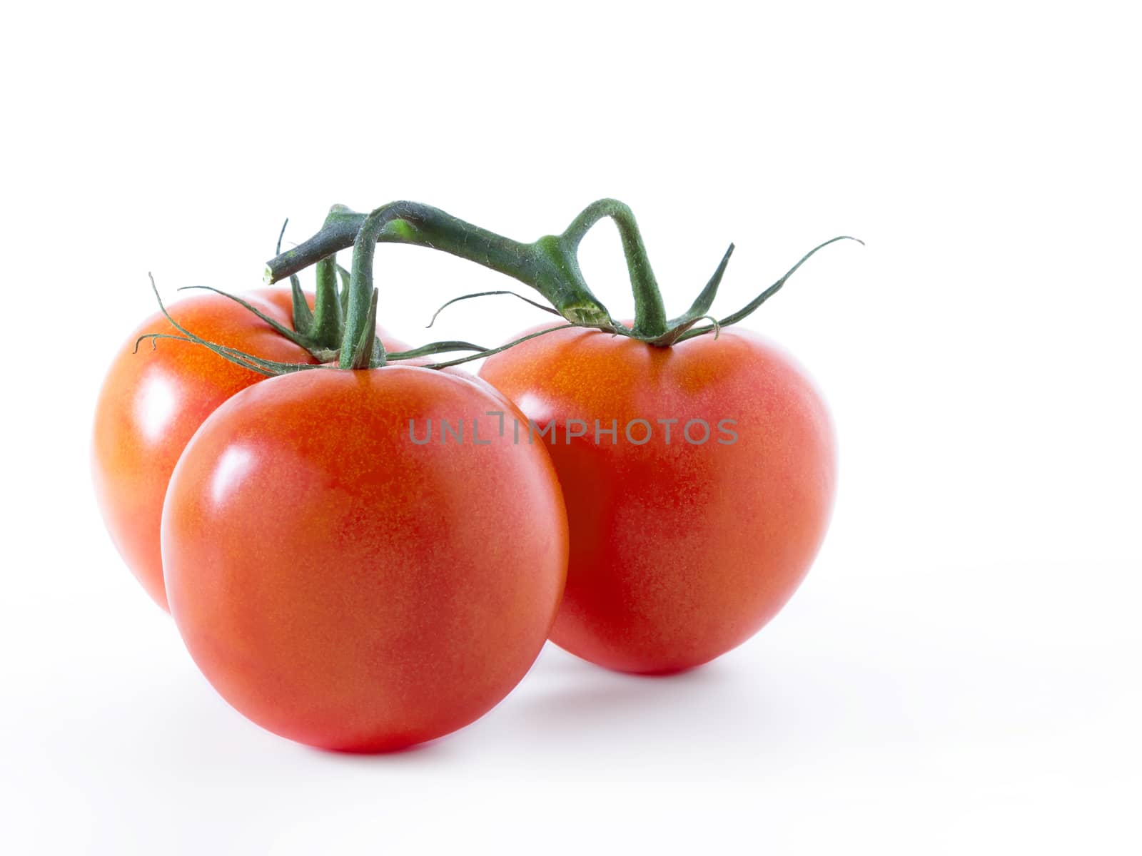 Tomatoes isolated on white background. Copy-space.