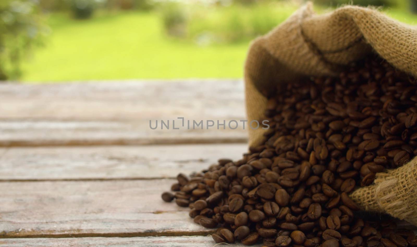 Close-up coffee beans in a burlap jute sack on a wooden table outdoors. Zoom shot