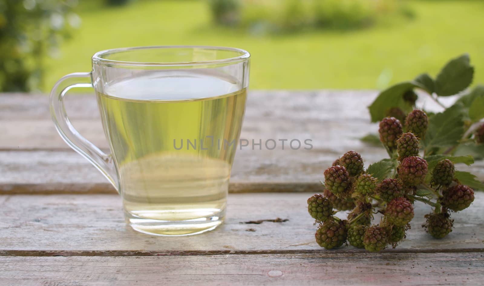 Close-up a transparent cup of dewberry leaf tea on the old wooden table outside. Fresh raw dewberry on the table. Herbal medicine concept