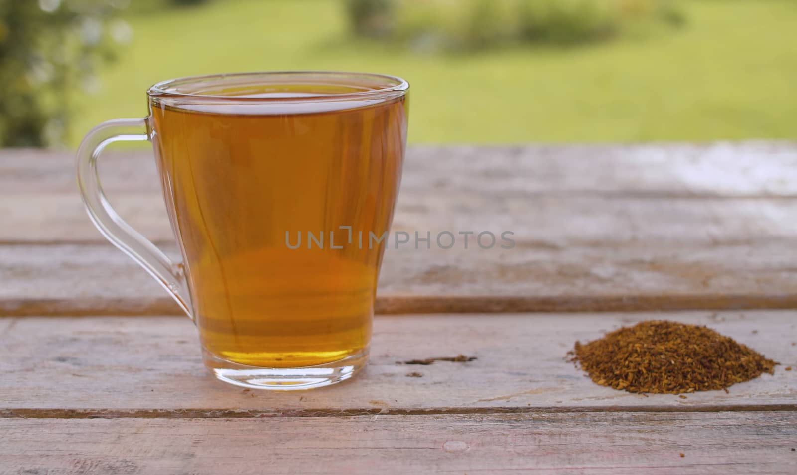 Rooibos tea and rooibos by Alize
