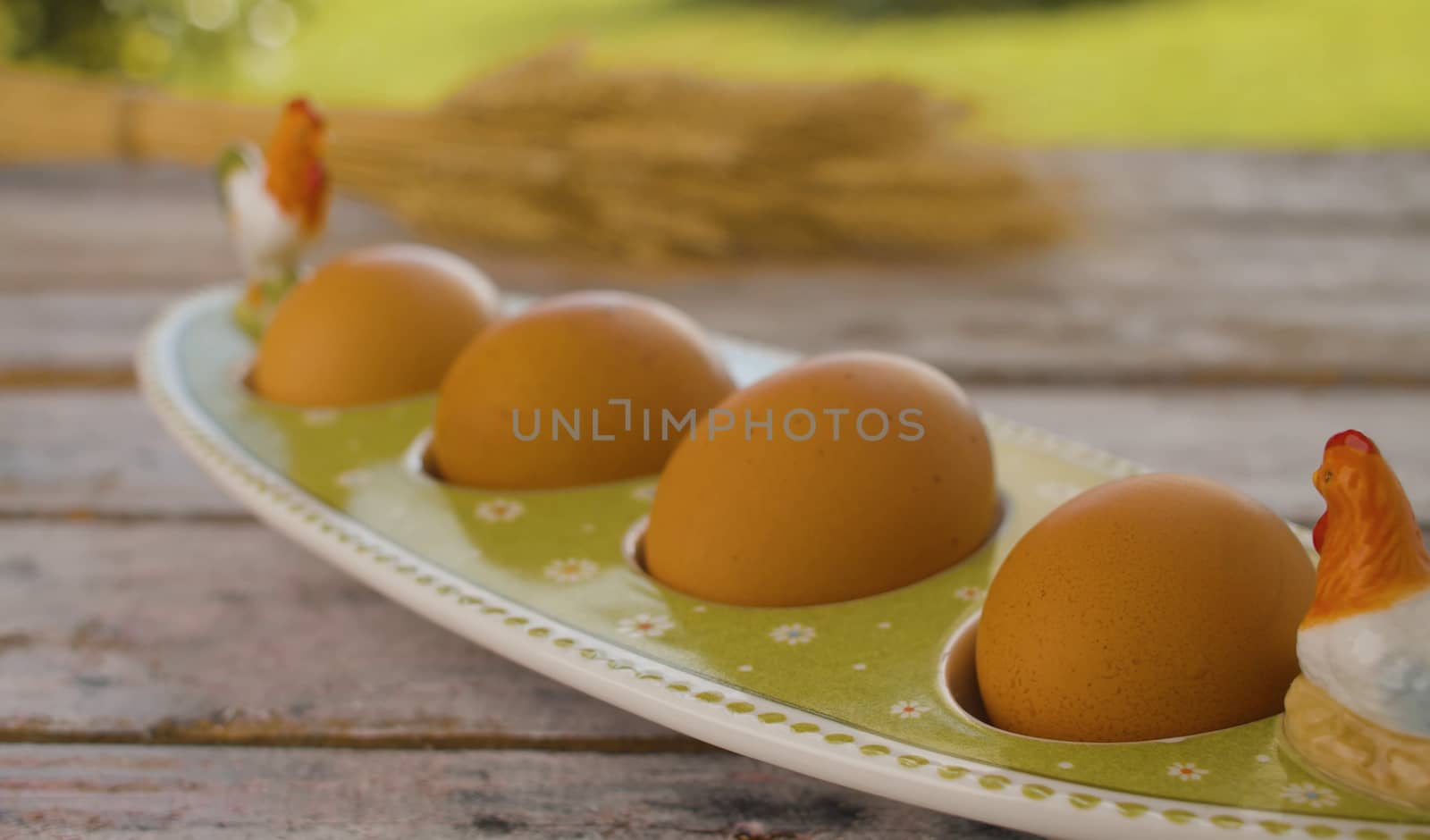 Brown chicken eggs by Alize