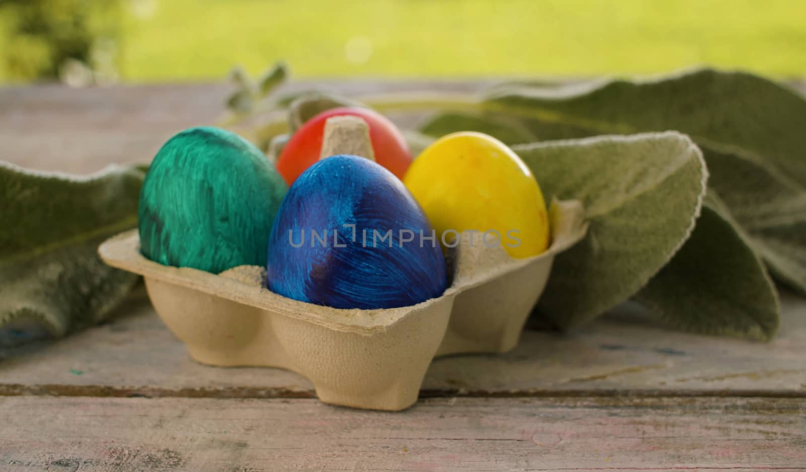 Close up multicolored painted Easter eggs in egg box and rabbits ear plant on wooden table in the garden. Holiday concept