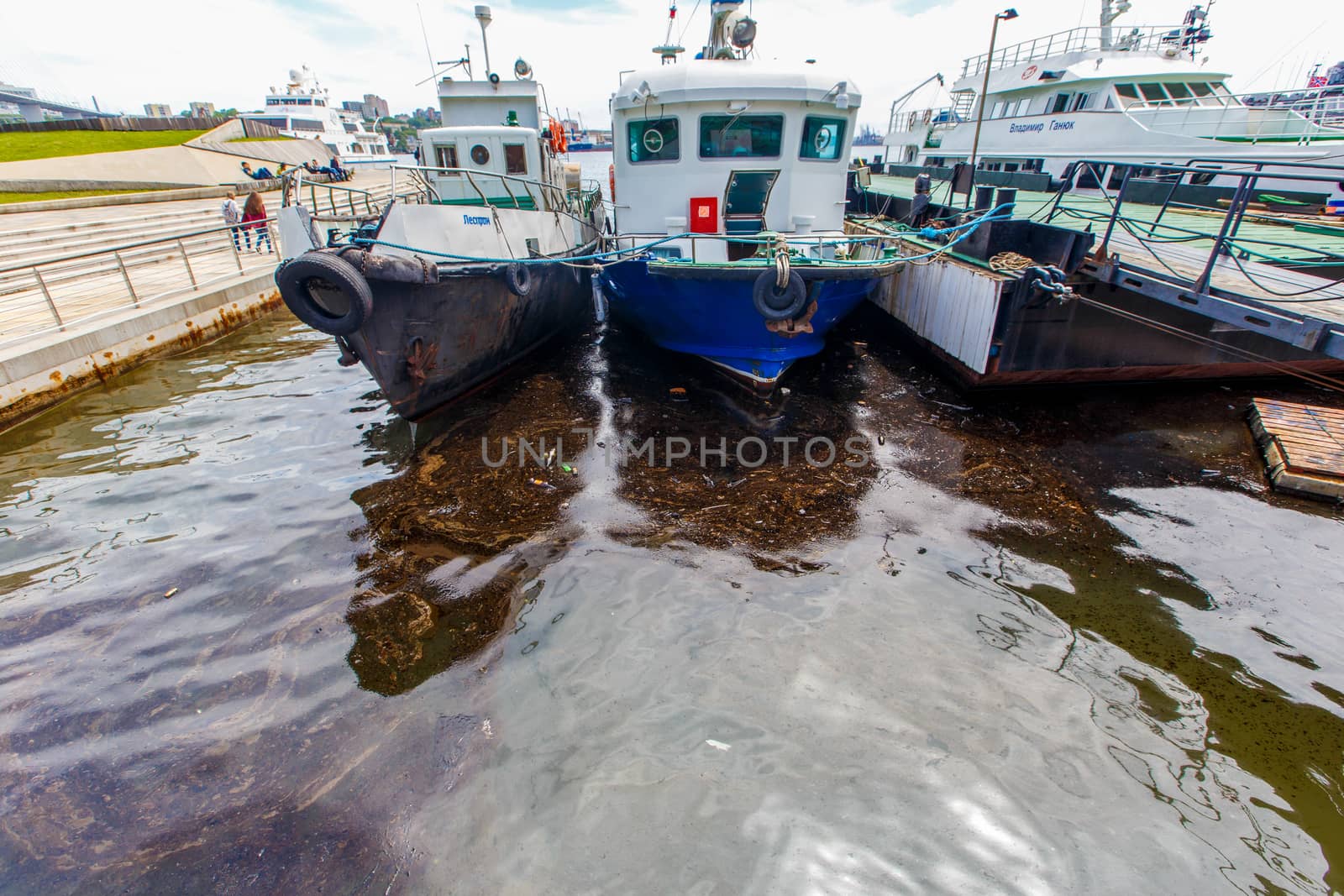 Environmental disaster. Spill of oil products into the sea. Dirty water area of the Golden Horn Bay in Vladivostok