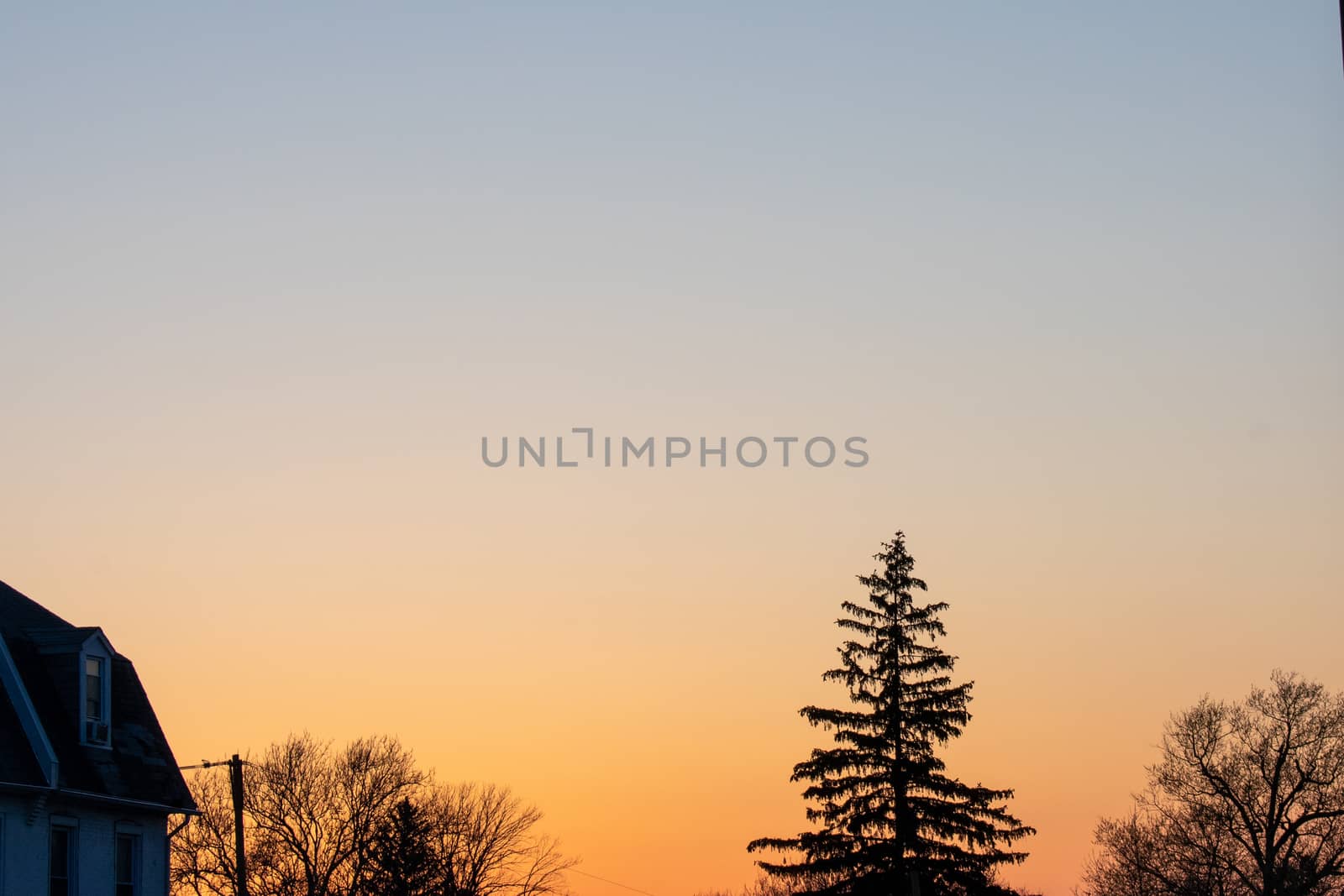 A Dramatic and Clear Orange and Blue Sky With Silhouetted Trees at the Bottom of the Frame