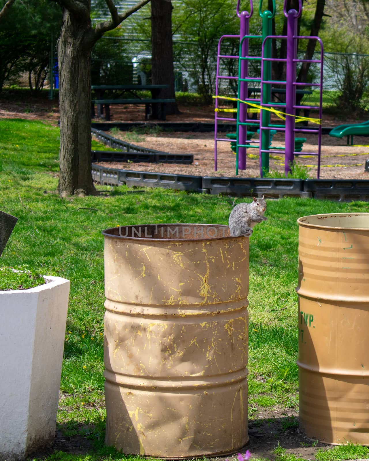 A Small Squirrel Sitting on a Metal Trash Can at a Park