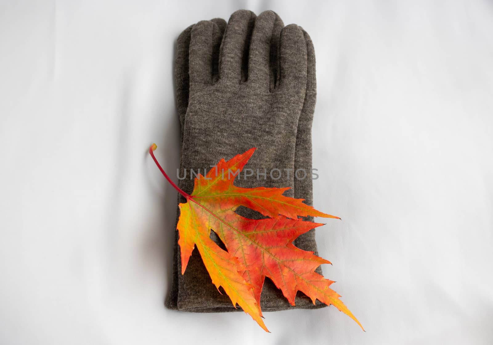 Grey gloves with maple leaves on a white background, isolated. The concept of autumn.