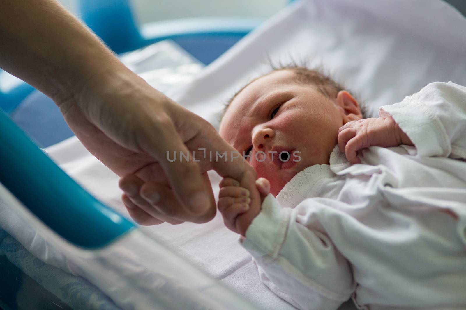 Beautiful newborn baby boy, laying in a small crib holding his father finger in prenatal hospital