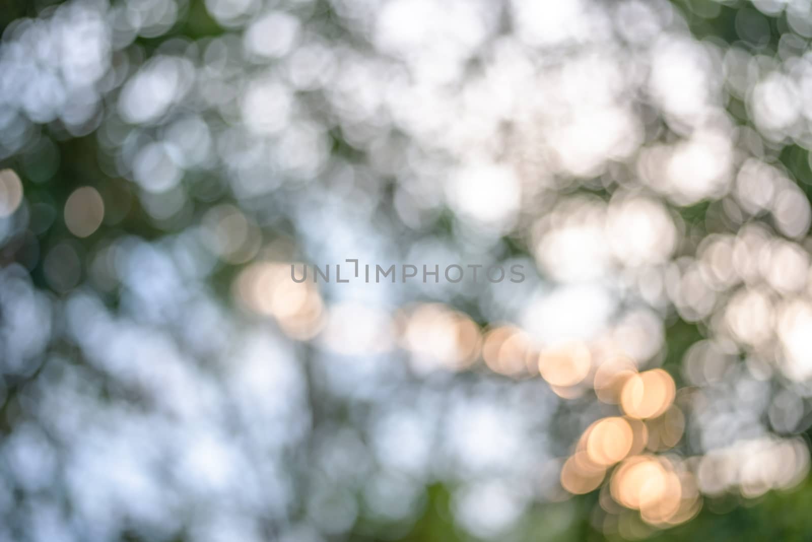 Spring light bokeh and blur for background design, Blurred bokeh from leaf and sunlight for background