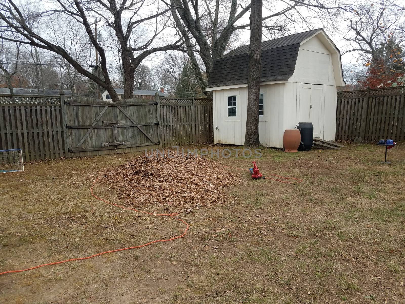 pile of leaves with white shed and rain barrels by stockphotofan1