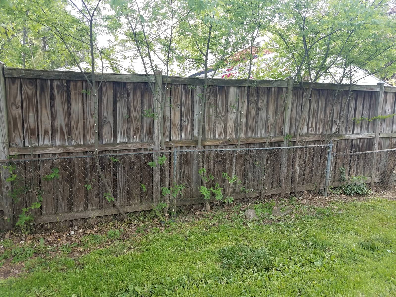 metal and wood fences with trimmed trees and grass by stockphotofan1