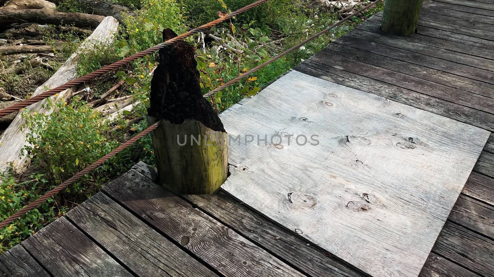 burned wood from lightning strike and metal cable on pier by stockphotofan1