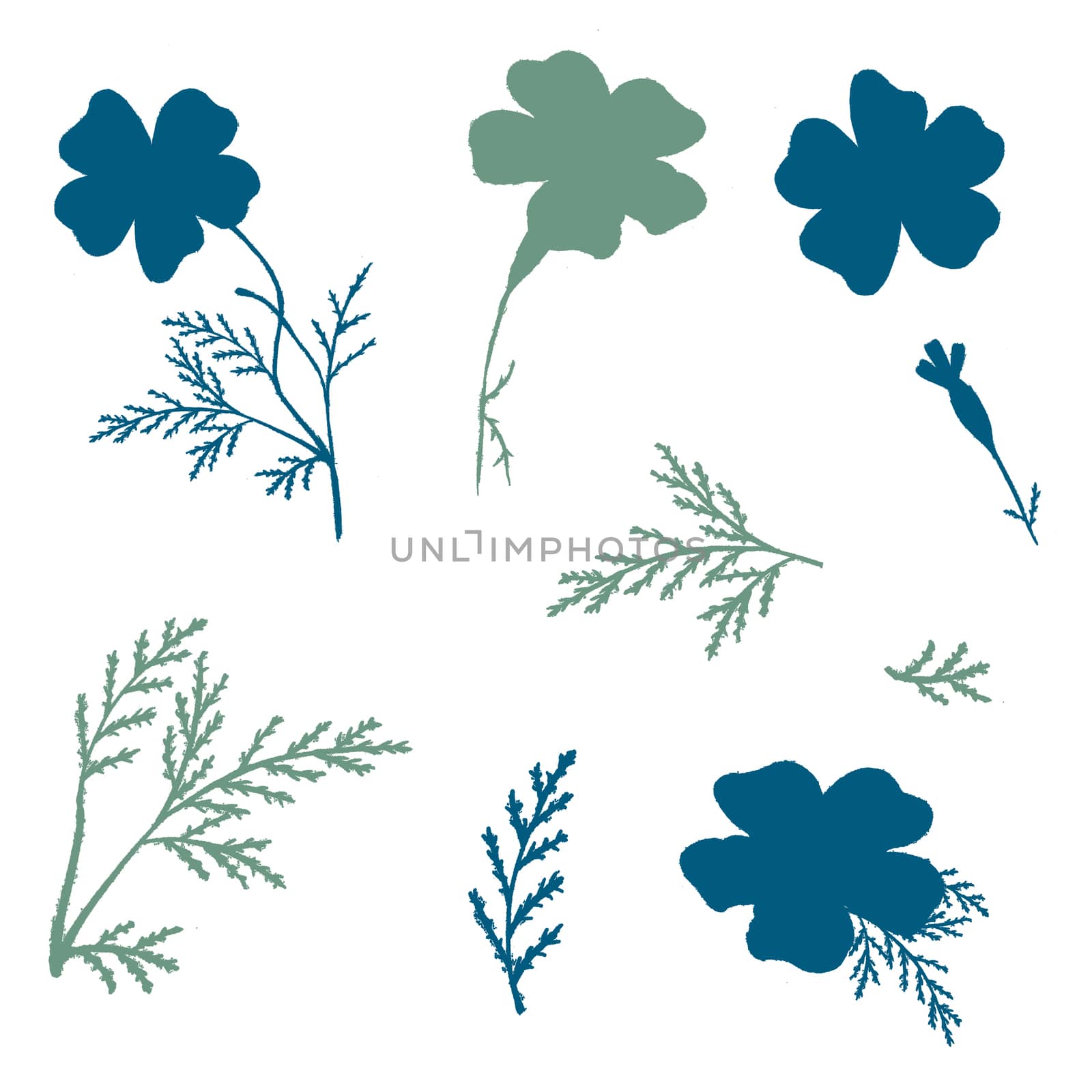 Set of Green and Blue Hand-Drawn Isolated Flower. Monochrome Botanical Plant Illustration. Thin-leaved Marigolds Silhouettes for Print, Tattoo, Design, Holiday, Wedding and Birthday Card.