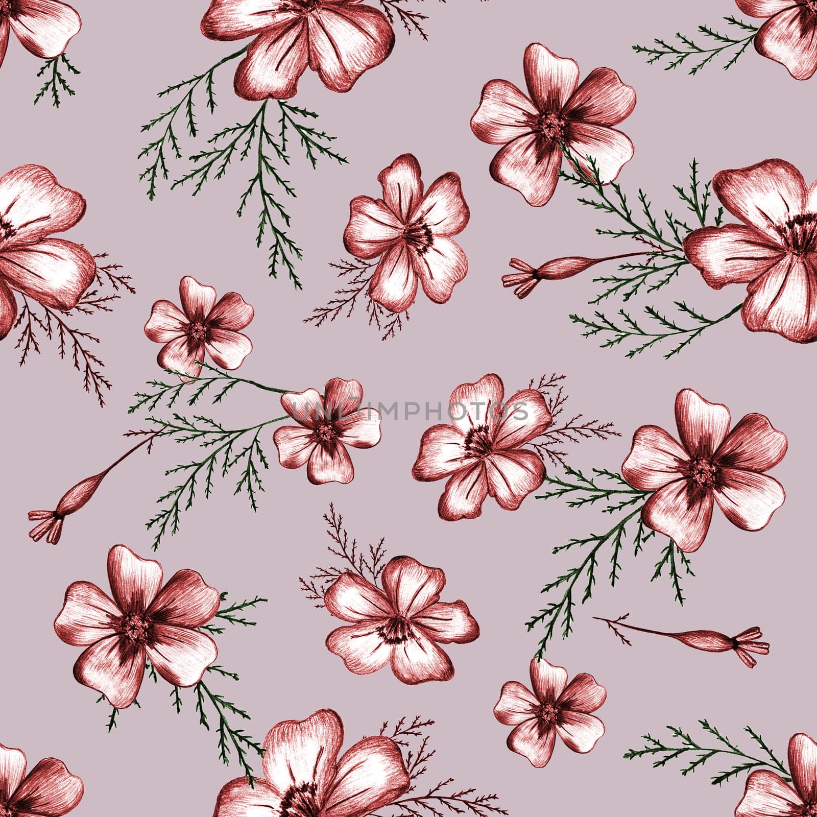 Seamless Pattern with Hand-Drawn Flower. Background with Thin-leaved Marigolds for Print, Design, Holiday, Wedding and Birthday Card.