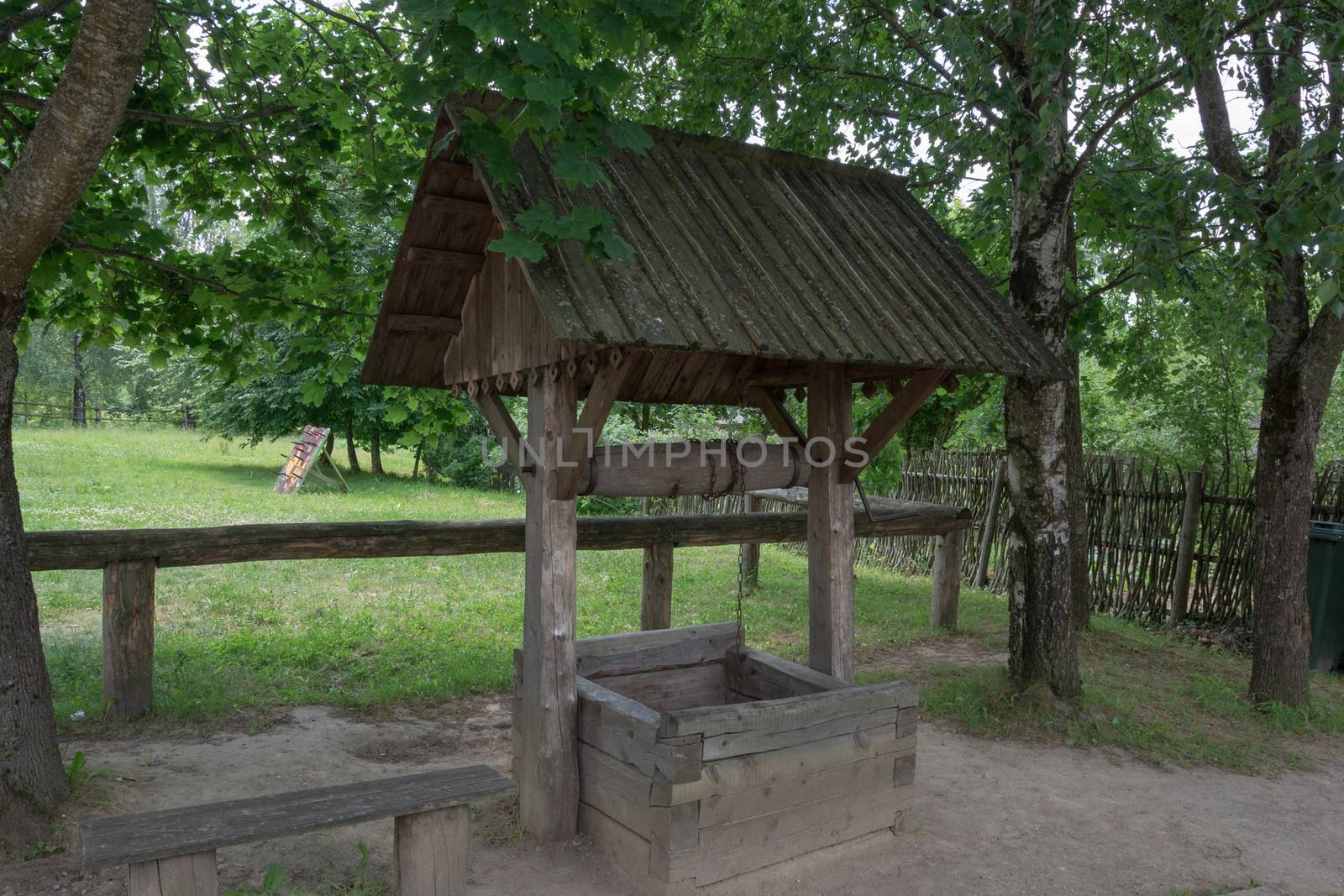 Village well with a water canopy under a birch tree
