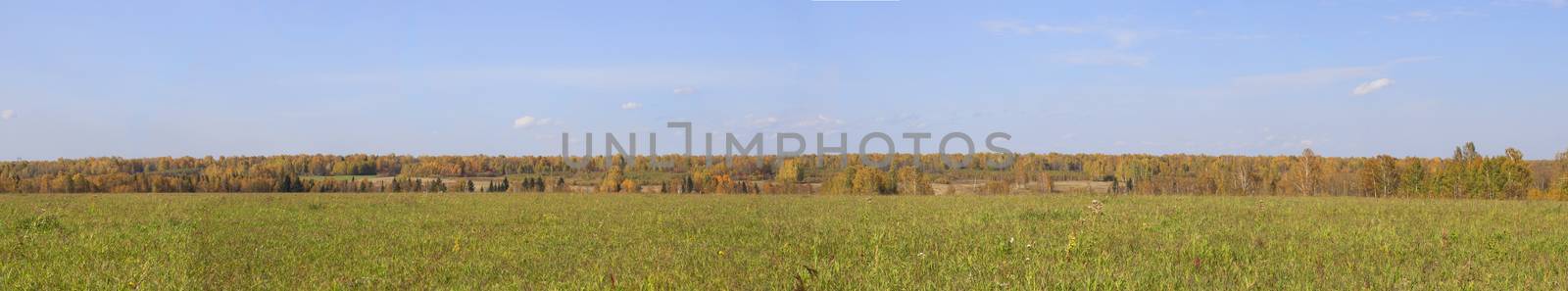 Autumn nature in panorama. Autumn yellow forest and field. by AnatoliiFoto
