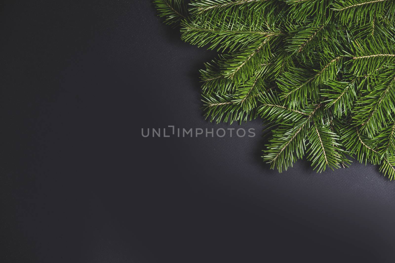 Christmas fir tree branch corner border fame on black paper stylish background with copy space for text