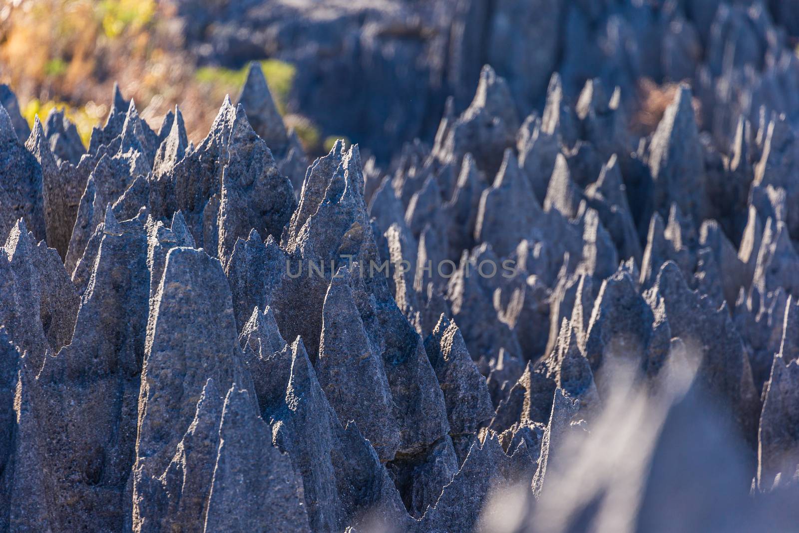 Grey Tsingy Peaks in Bemaraha National Park, Madagascar by COffe