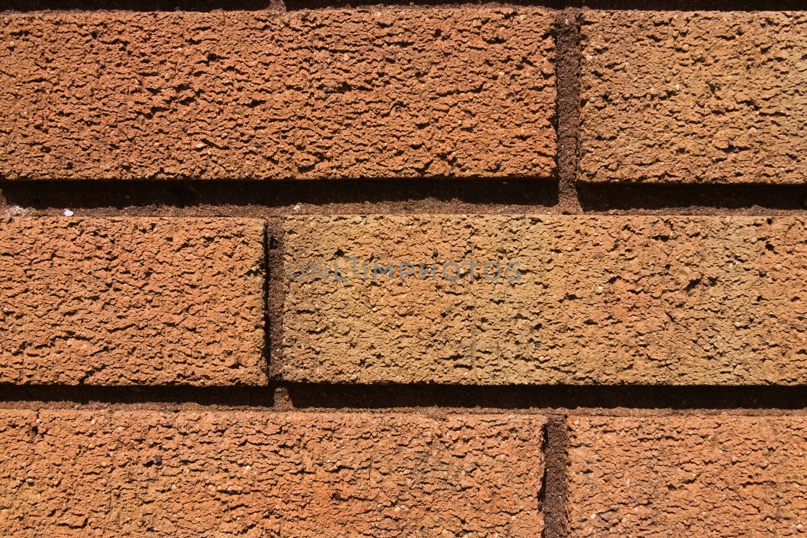 3 - Macro close up of golden orange brick wall. Lit by warm natural sunlight. Gritty and lumpy abstract background texture. Masonry brick laying.