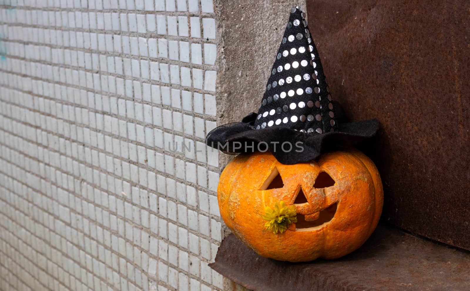 Funny pumpkin in a Witch's hat on a rusty iron.The Concept Of Halloween.