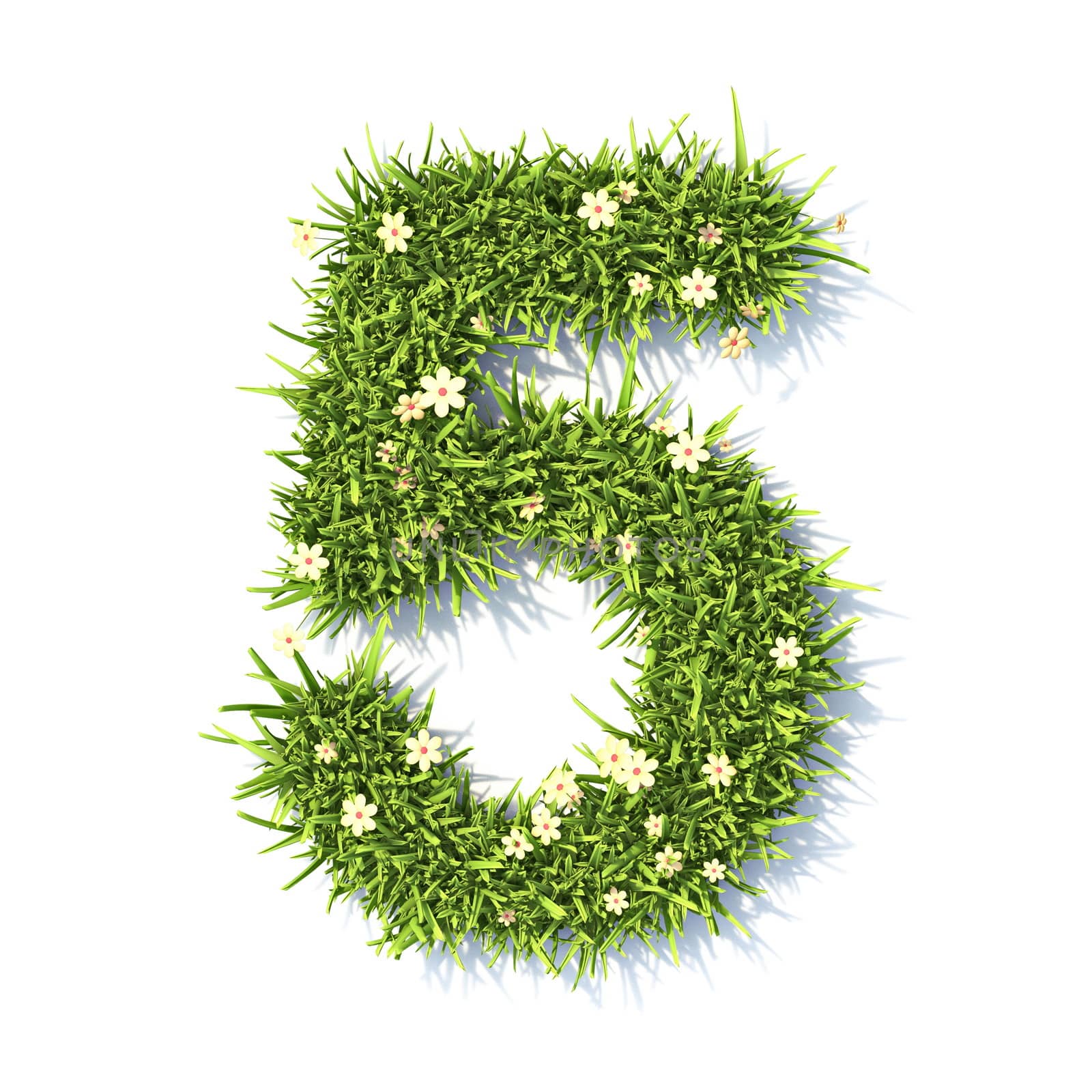 Grass font Number 5 FIVE 3D rendering illustration isolated on white background