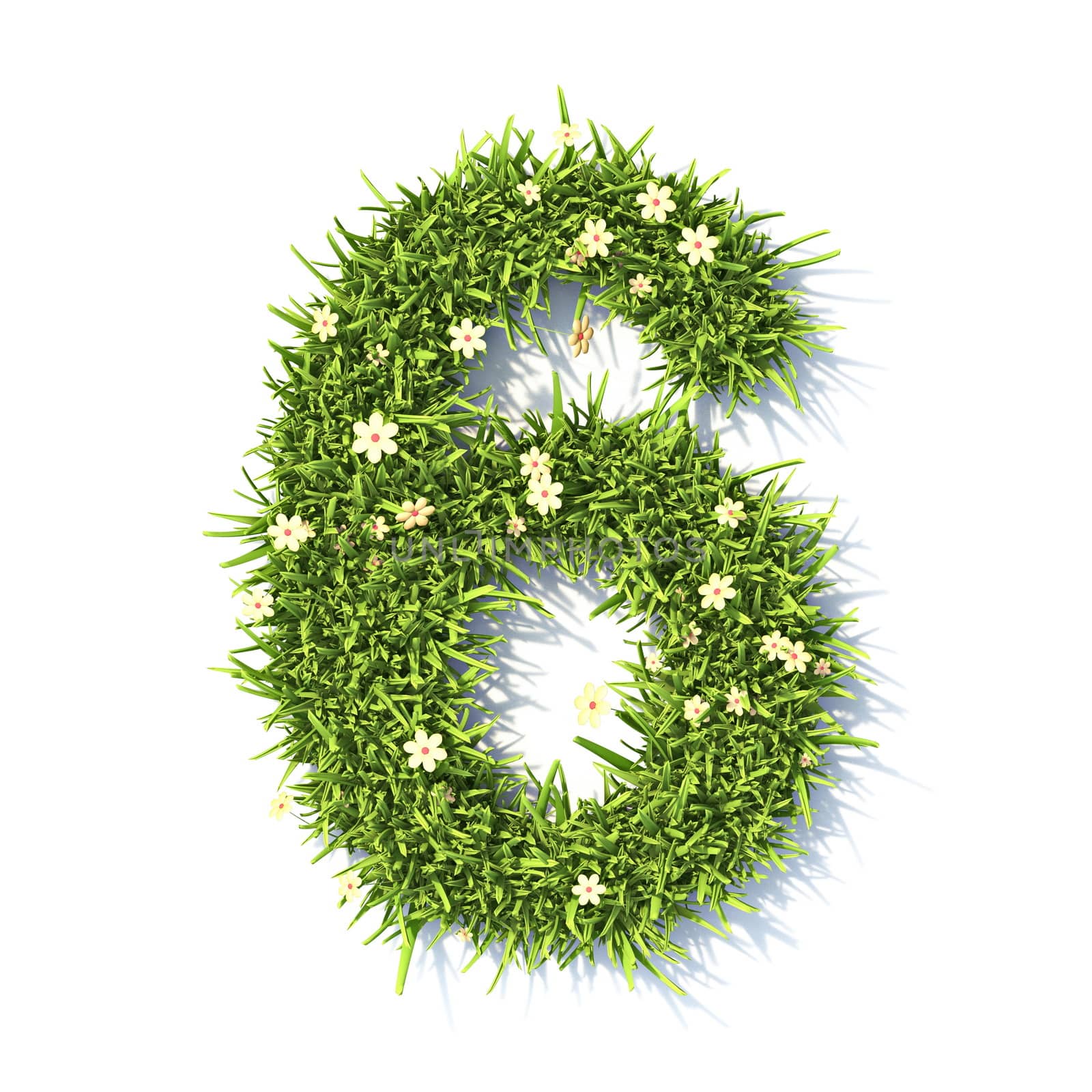Grass font Number 6 SIX 3D rendering illustration isolated on white background