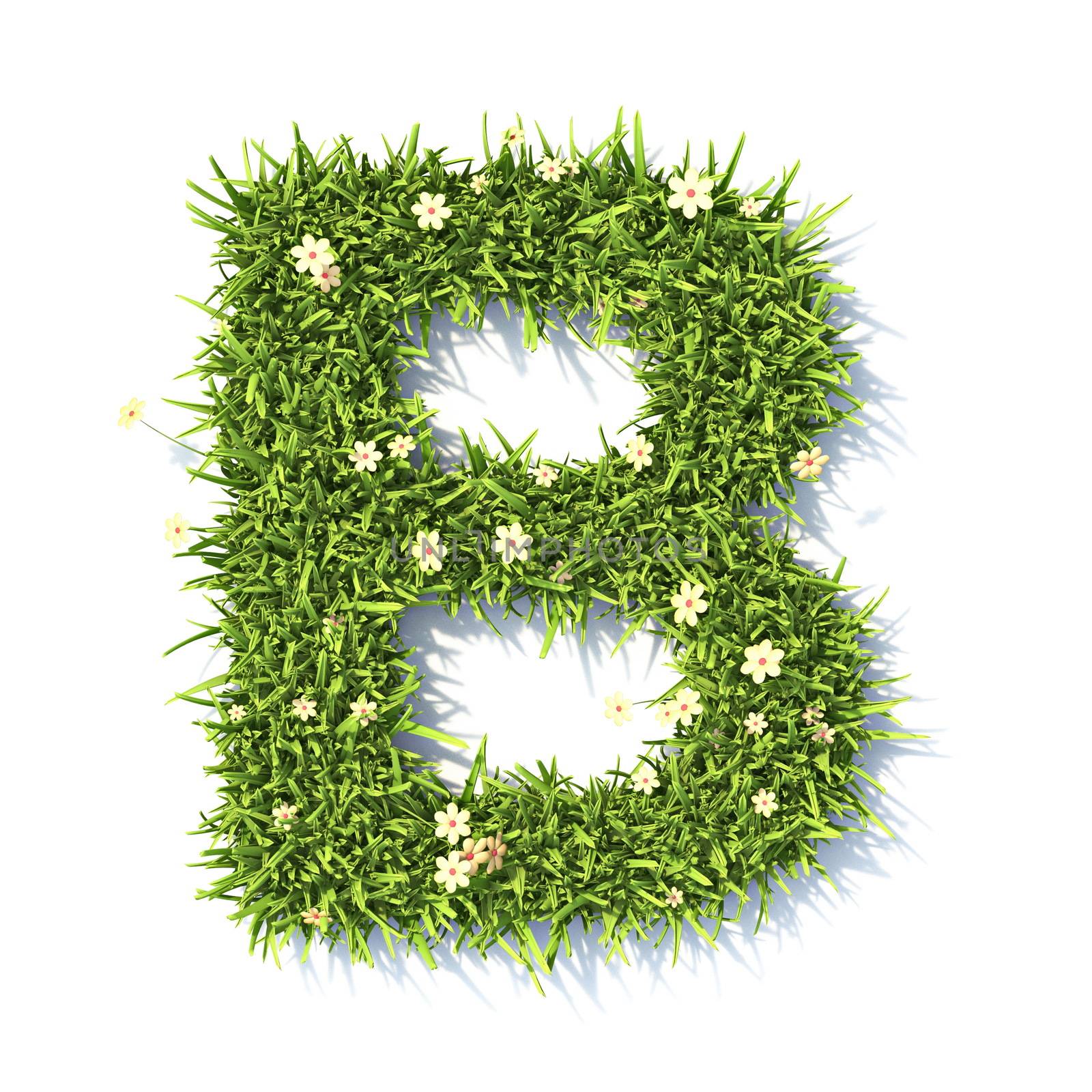 Grass font Letter B 3D rendering illustration isolated on white background