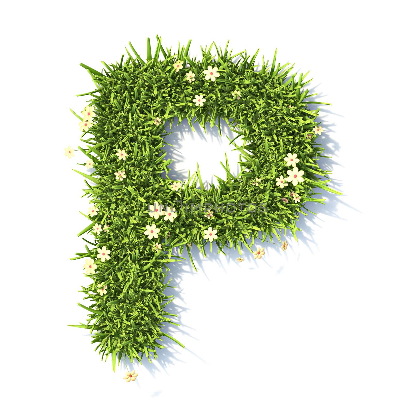Grass font Letter P 3D rendering illustration isolated on white background