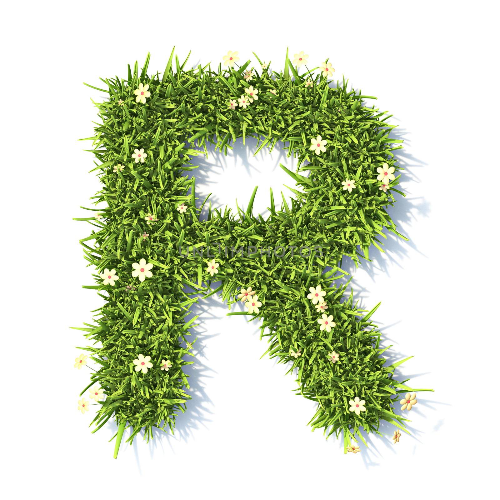 Grass font Letter R 3D rendering illustration isolated on white background