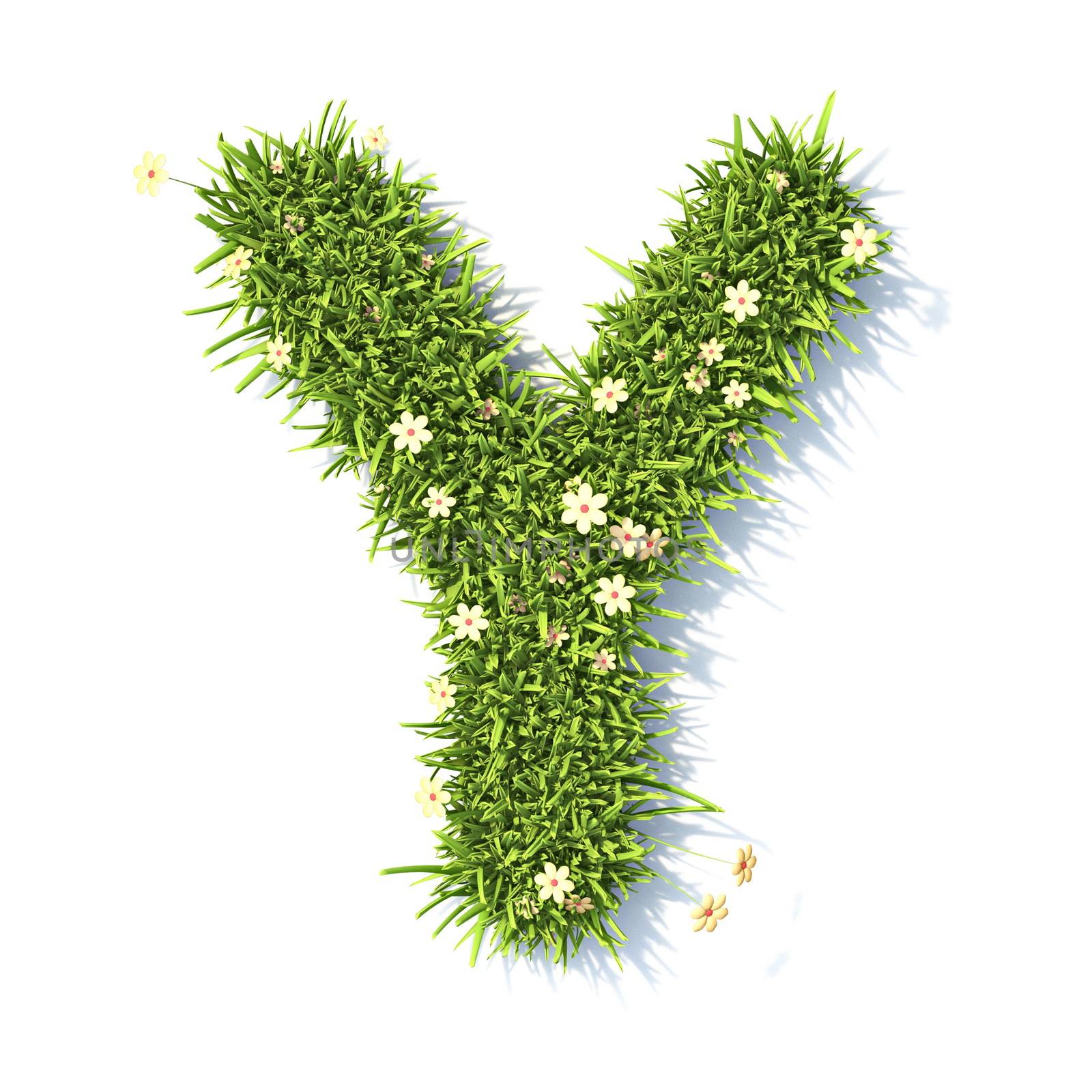 Grass font Letter Y 3D rendering illustration isolated on white background