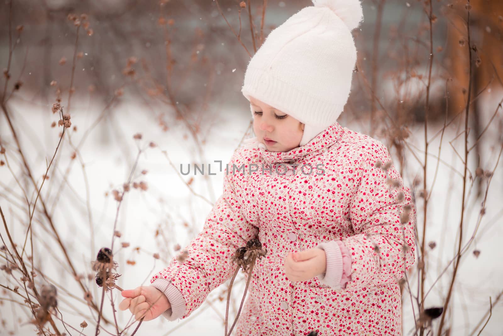 A little girl sits in the snow and picks dried plants on sunny winter day.