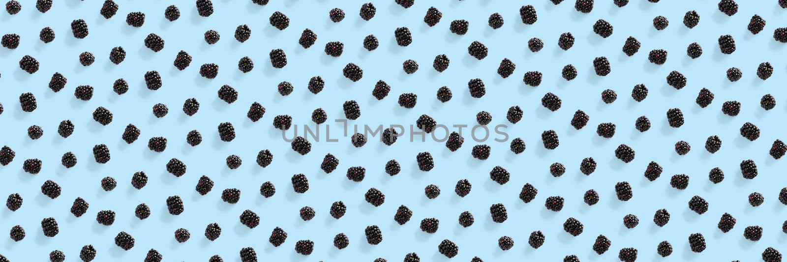 Banner Background from isolated brambles. Group of tasty ripe blackberry isolated on blue background. modern crative background of falling blackberry or bramble.