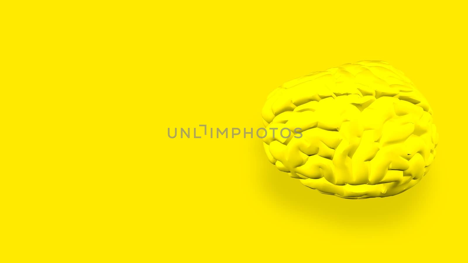 Human brain isolated on a colored background. Anatomical 3D model of human brain for medical students. 3D rendered model