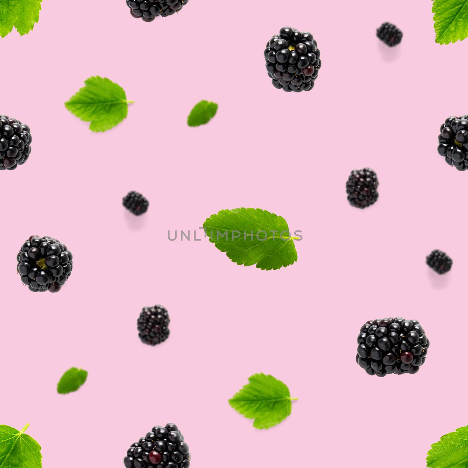 Falling Bramble Seamless pattern. Fresh Falling blackberry seamless pattern. Square pattern with fresh wild berries isolated on pink background. flat lay.