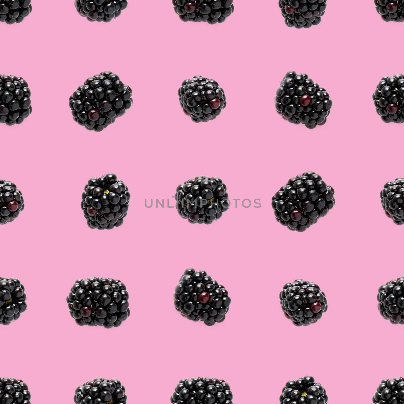 Bramble Seamless pattern. Fresh blackberry seamless pattern. Square pattern with fresh wild berries isolated on pink background. flat lay.