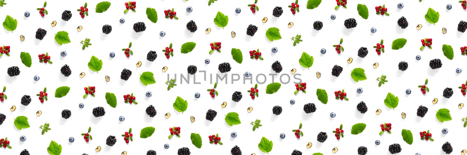 Creative set of wild berries, blackberry, blueberry, lingonberry and bramble. modern banner background on white backdrop made from autumn forest wild berries. Forest berries mix
