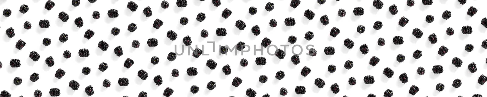 Banner Background from isolated brambles. Group of tasty blackberry isolated on white background. modern backround of falling blackberry or bramble. by PhotoTime
