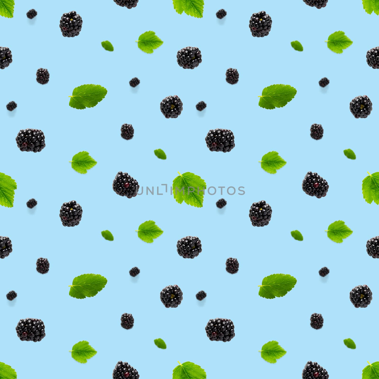 Falling Bramble Seamless pattern. Fresh Falling blackberry seamless pattern. Square pattern with fresh wild berries isolated on blue background. flat lay.