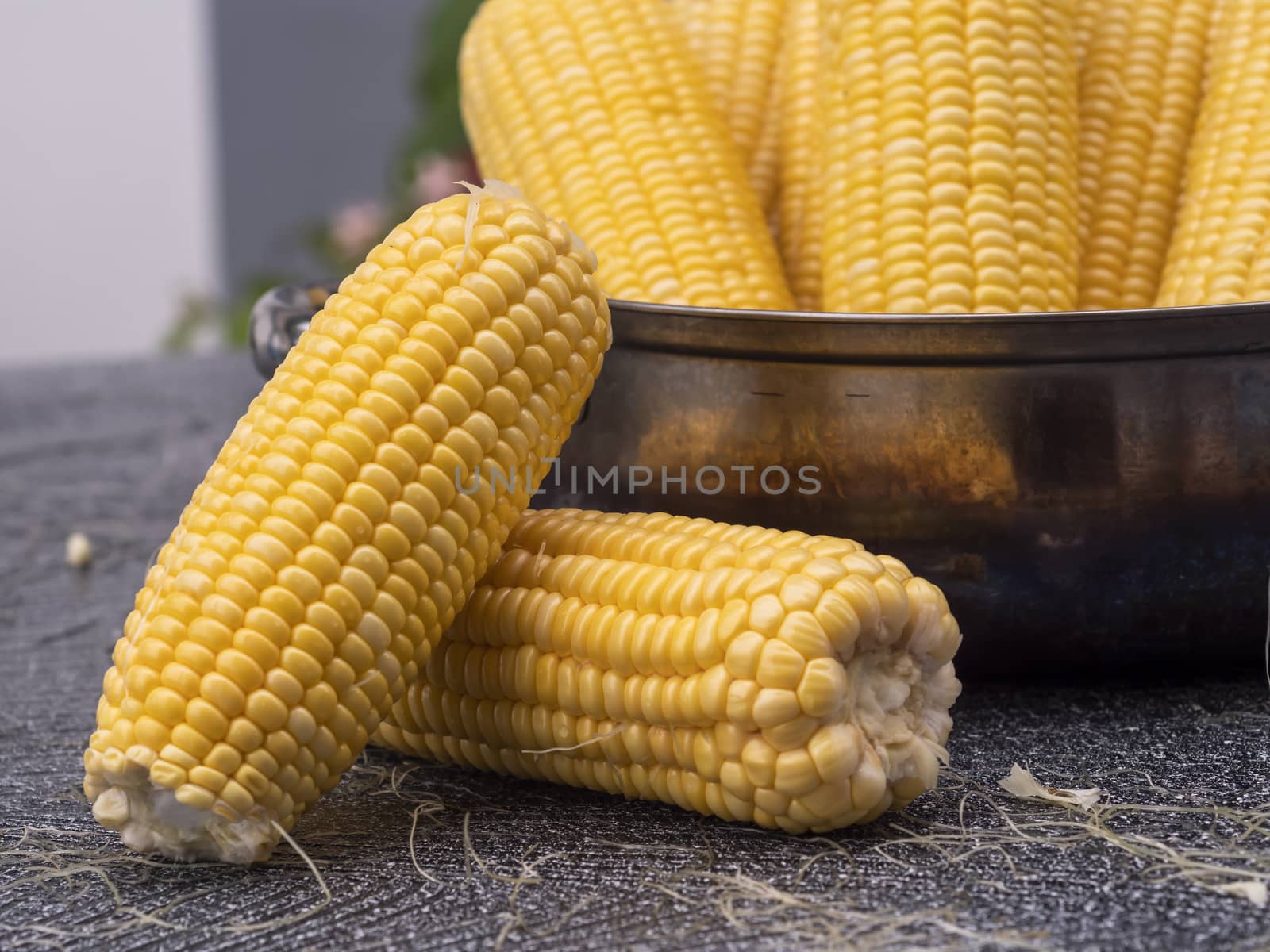 group freshness seeds of sweet corn in a pot on the table. Fresh raw maize with peeled. Corn and cob grain useful.
