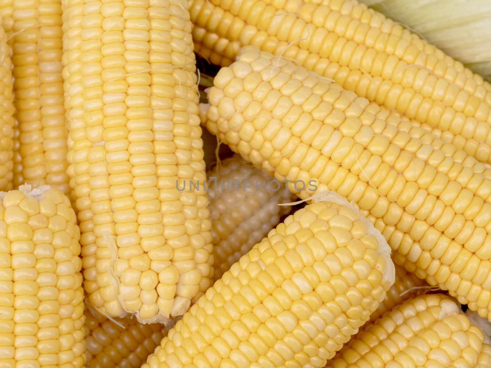 Top-view group freshness seeds of sweet corn on the table. Fresh raw maize with peeled. Corn and cob grain useful.
