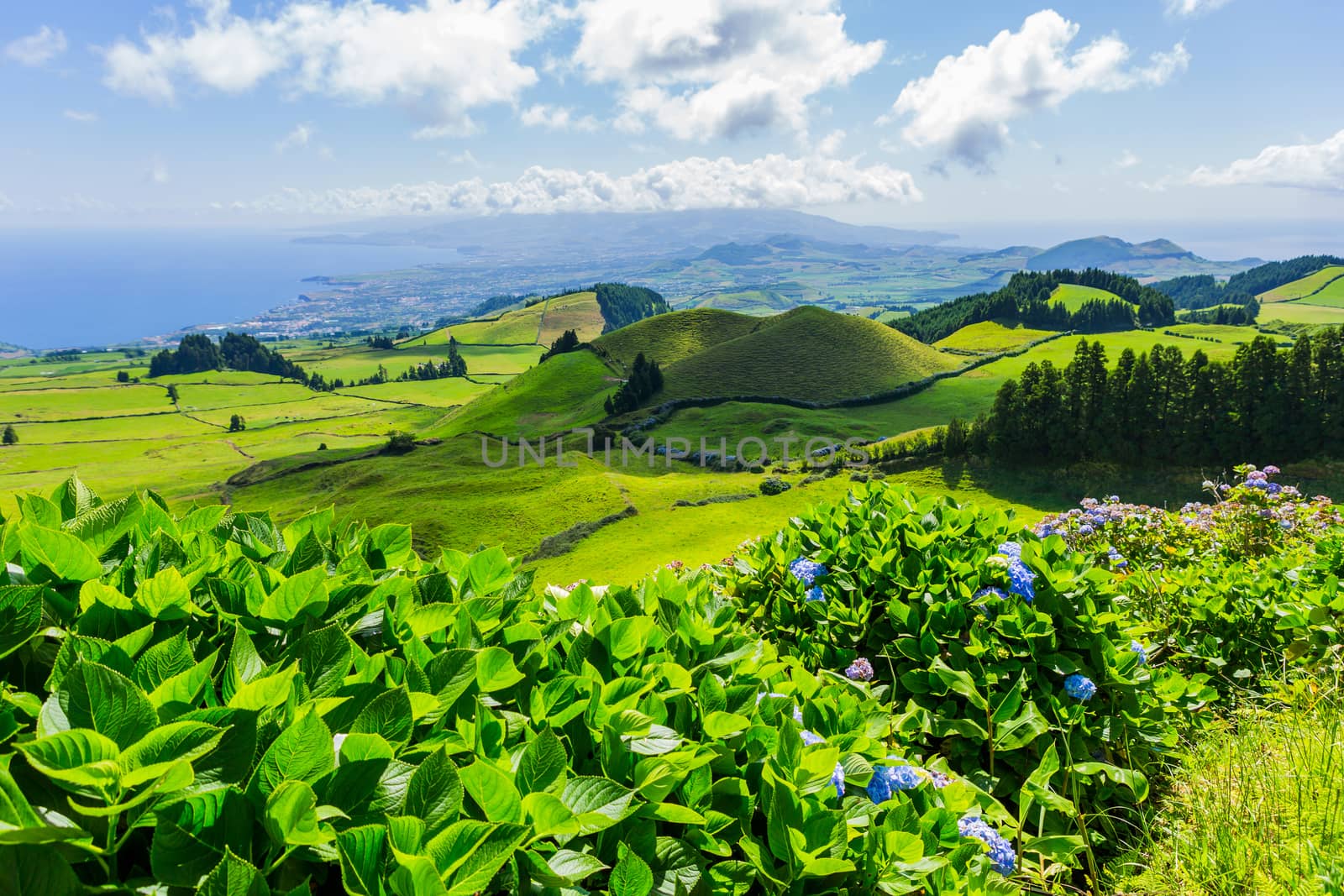 Beautiful landscape in Azores by zittto