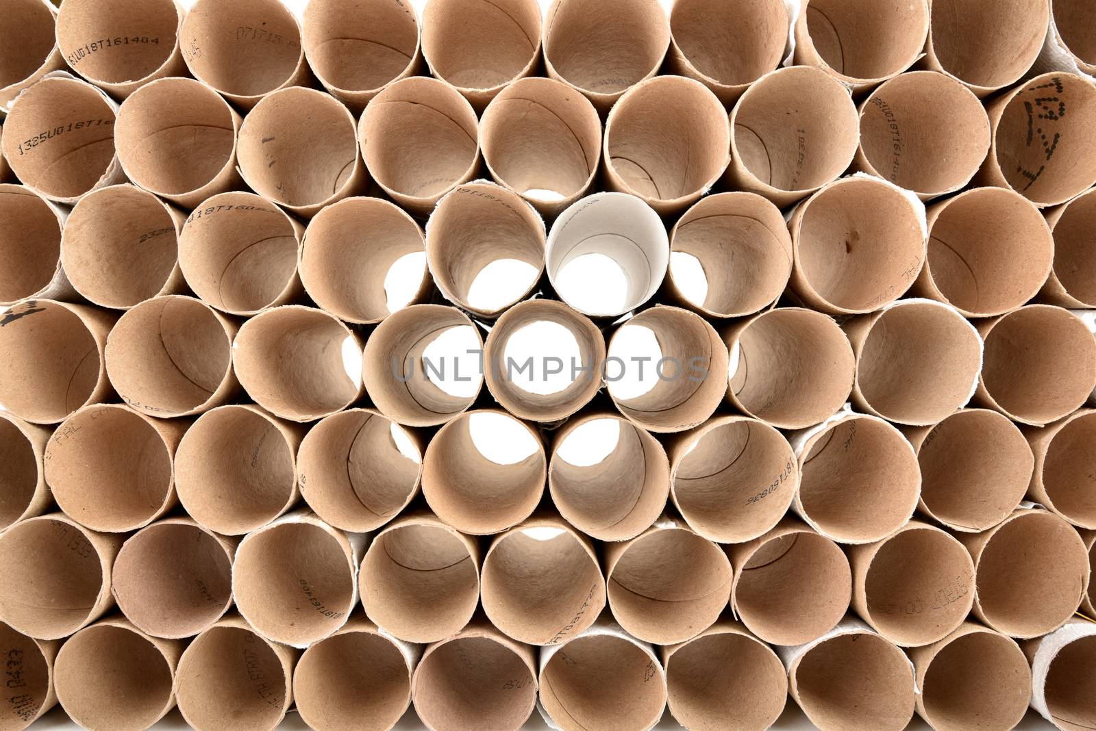 Toilet paper roll`s brown paper cores