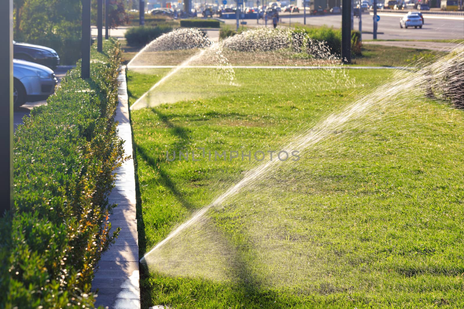 An automatic irrigation system of multiple sprinklers irrigated the lawn against a blurred cityscape on a bright sunny day, copying space.