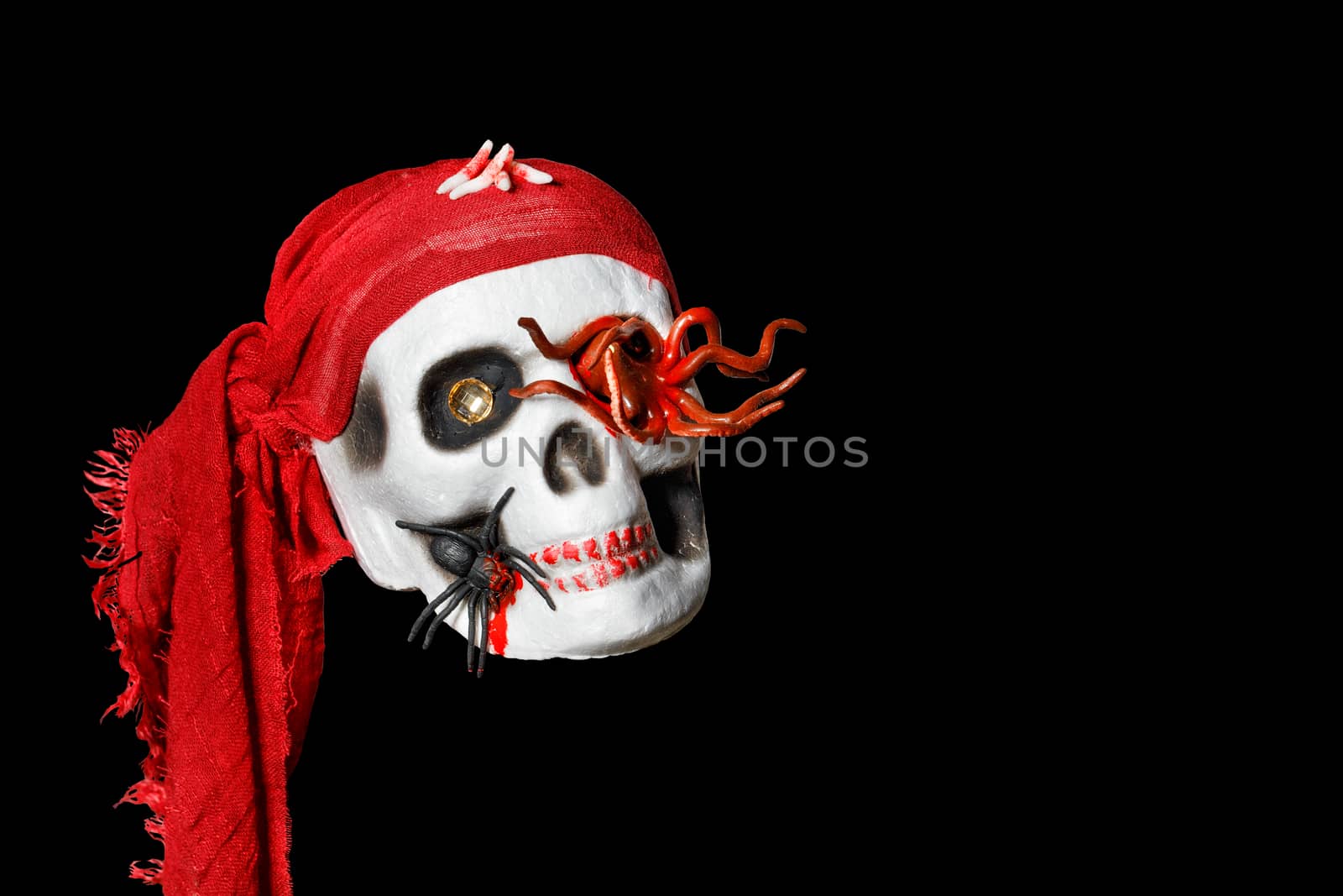 Halloween skull doll in a red bandana, decorated with an octopus in the eye socket and a spider on the cheekbone, isolated on a black background.