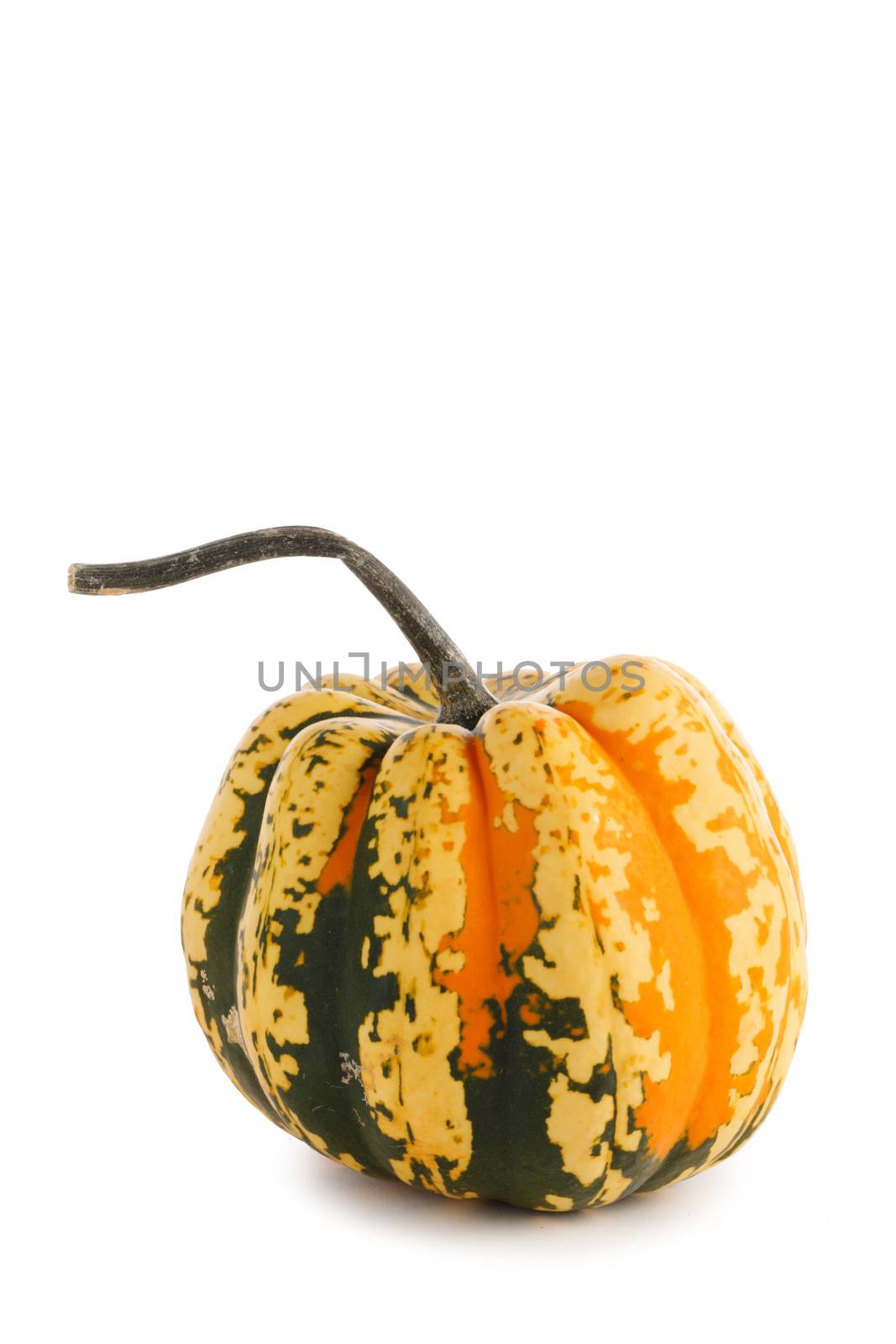 One small striped yellow pumpkin isolated on white background , Halloween concept
