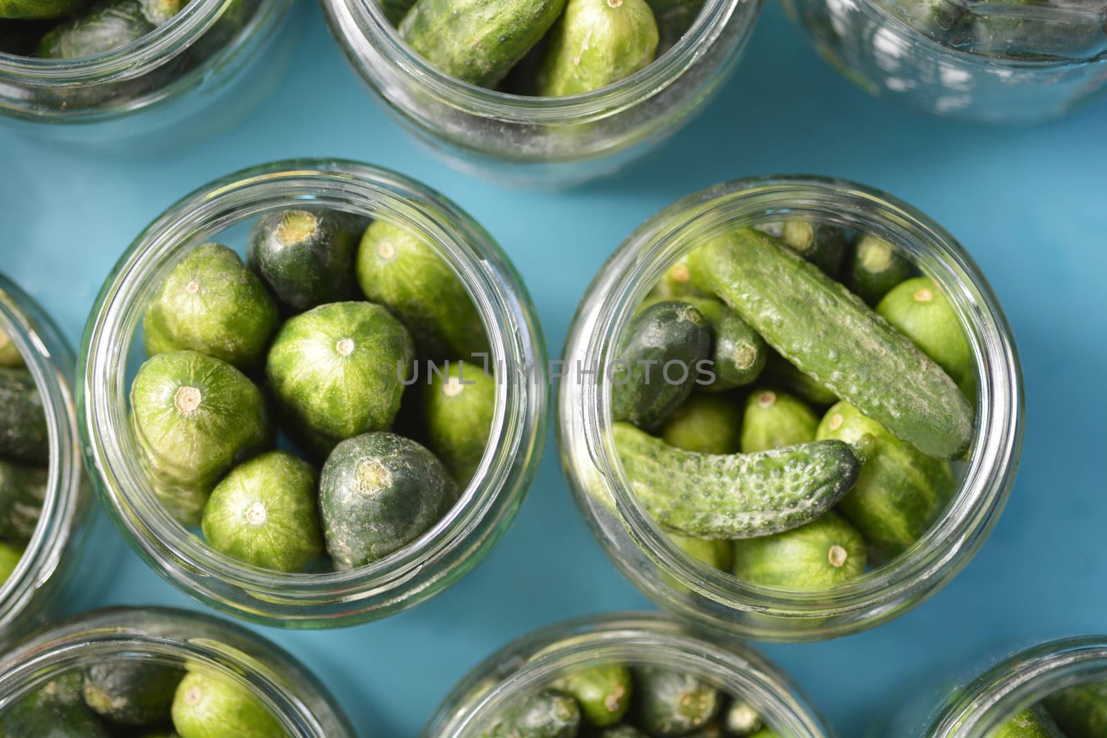 Cucumbers in a jar by nahhan