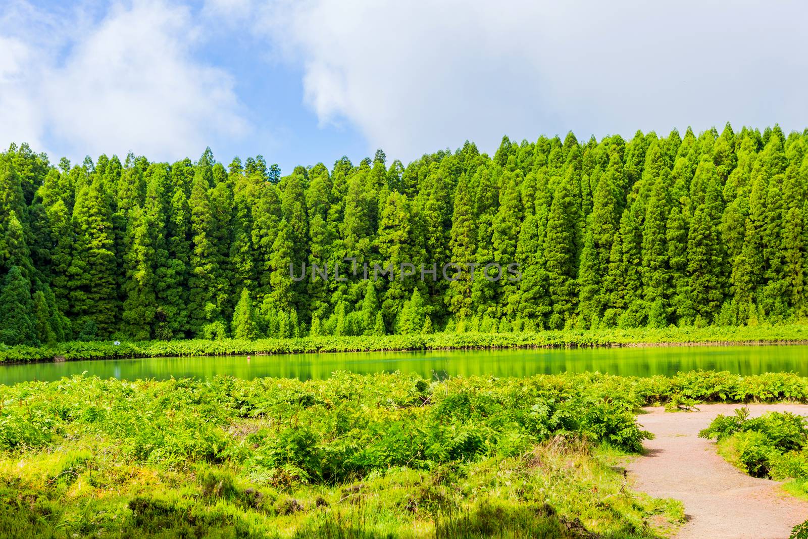 Lagoa do Canario. View of the green lagoon of Canary lake in Sao Miguel island, Azores, Portugal on a beautiful sunny say