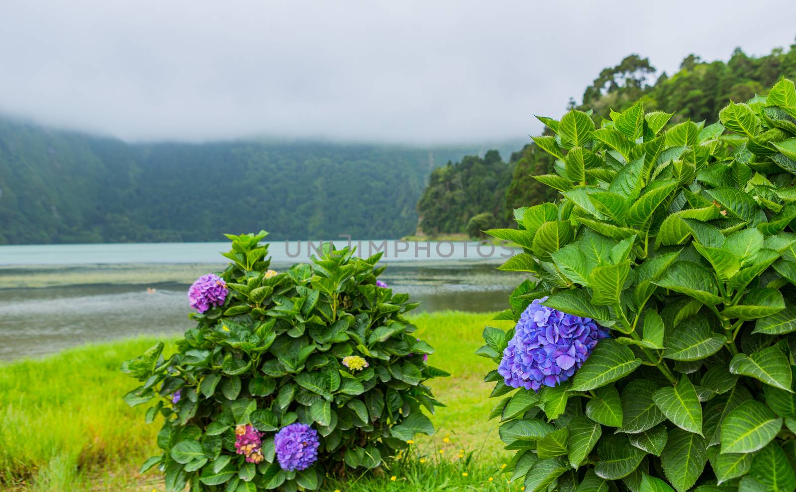 View of the Lake of Sete Cidades in the fog, a volcanic crater lake on Sao Miguel island, Azores, Portugal