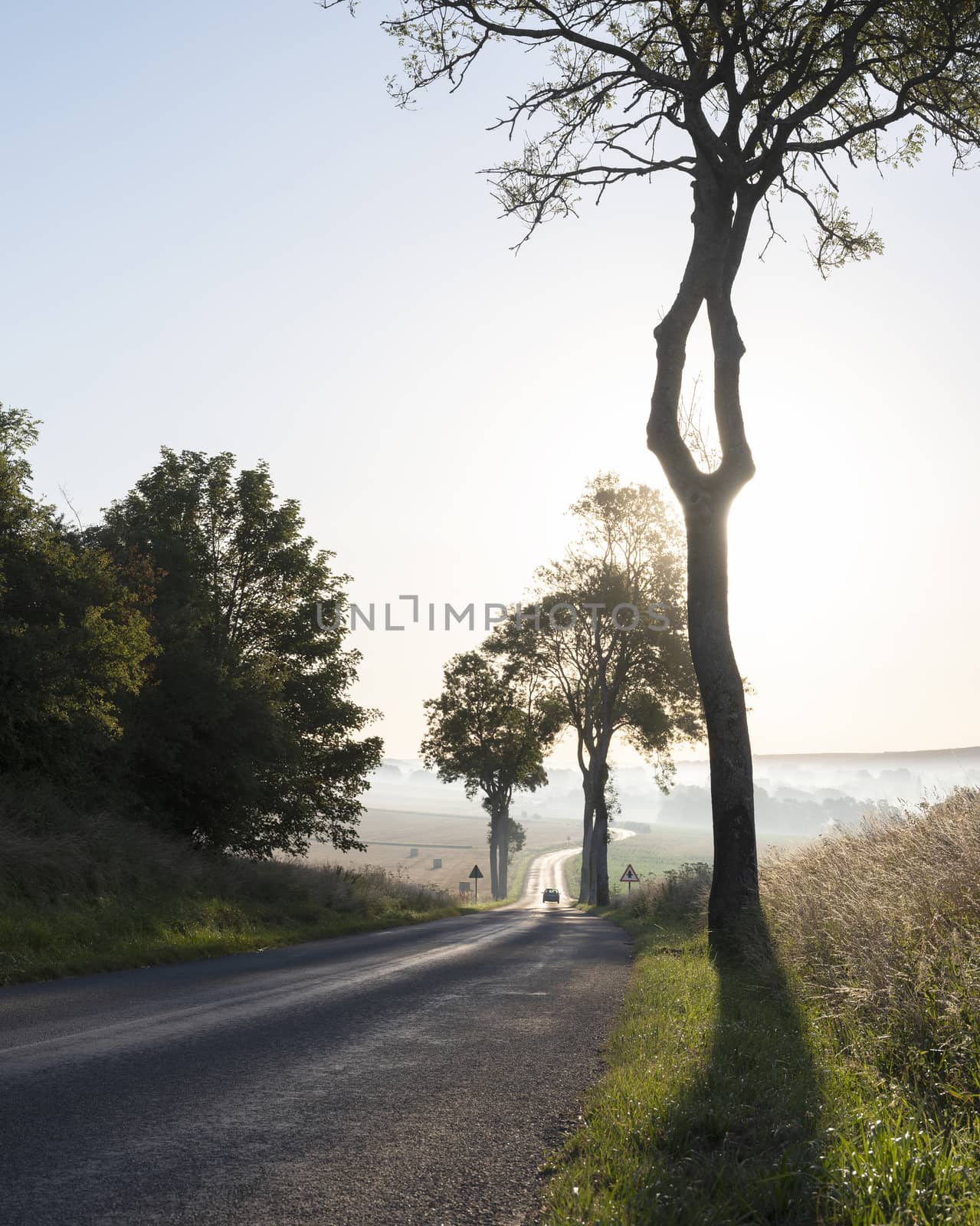early morning country road in french picardie near boulogne and calais by ahavelaar