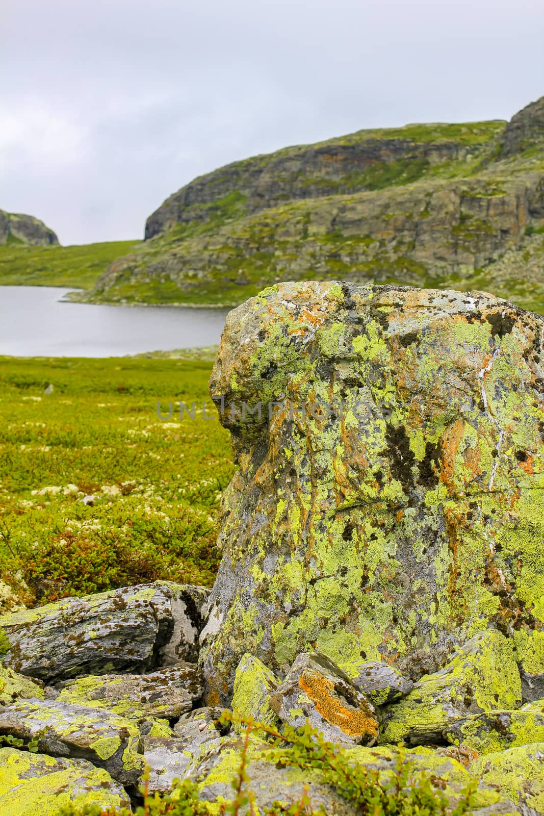 Horntjerni river with colorful big rock on Veslehødn Veslehorn mountain in Hemsedal, Norway.