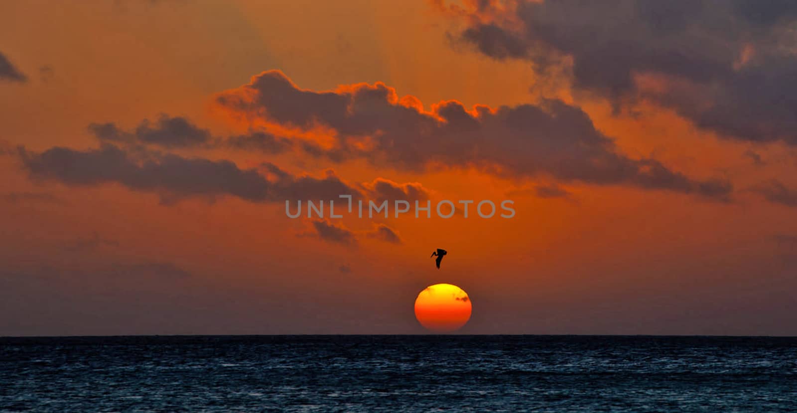 Beautiful pictures of Aruba